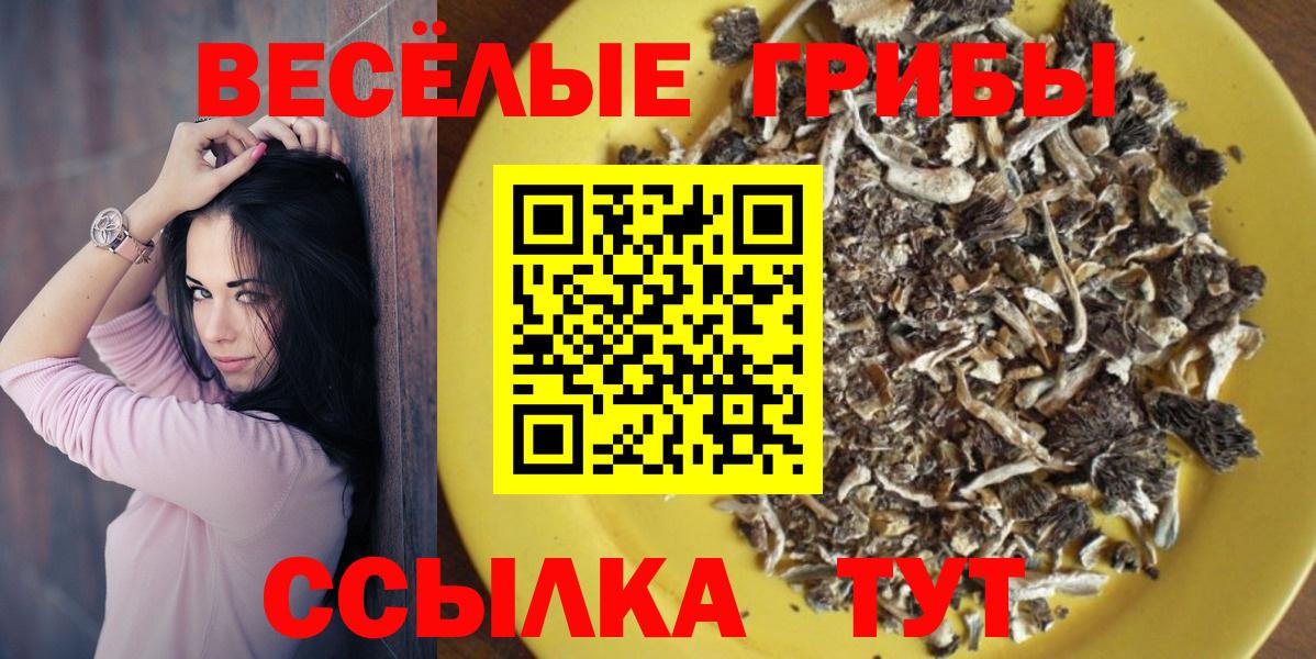 Галлюциногенные грибы Magic Shrooms Щёлково