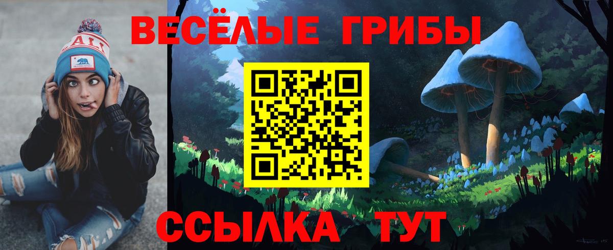 Галлюциногенные грибы Psilocybe  Вход с VPN  Щёлково  сколько стоит  Псилоцибиновые грибы Cubensis 